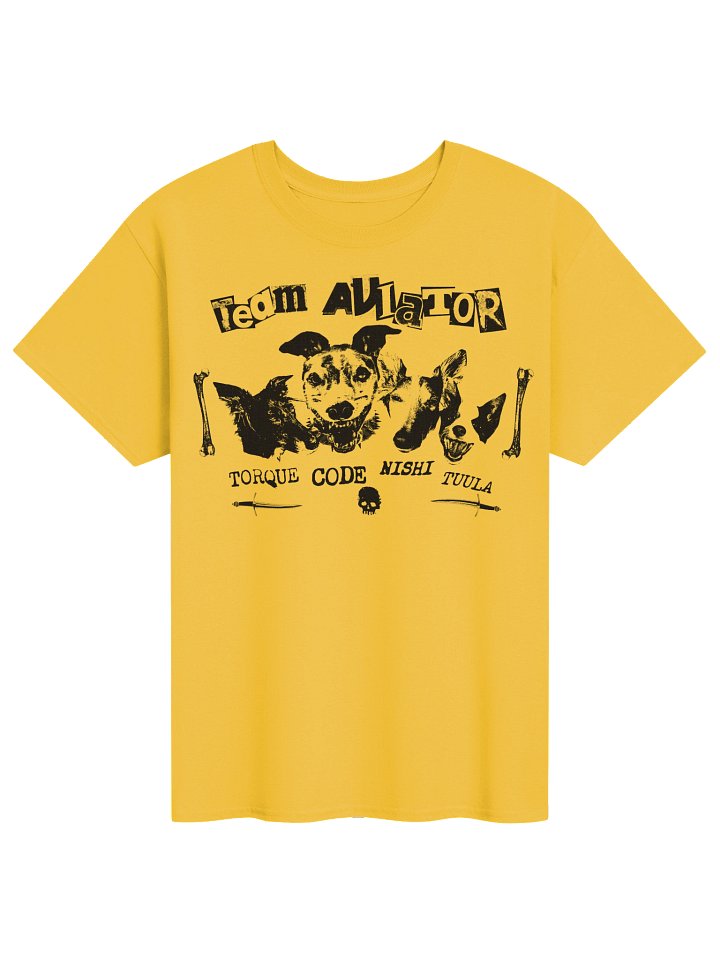 Team Aviator product image (71)