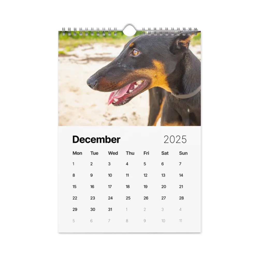 The first year - 2025 Calendar product image (12)