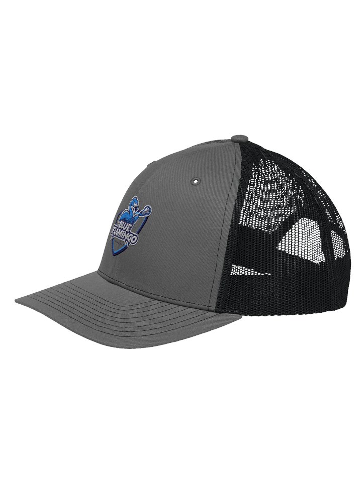 Classic Trucker - Black product image (5)