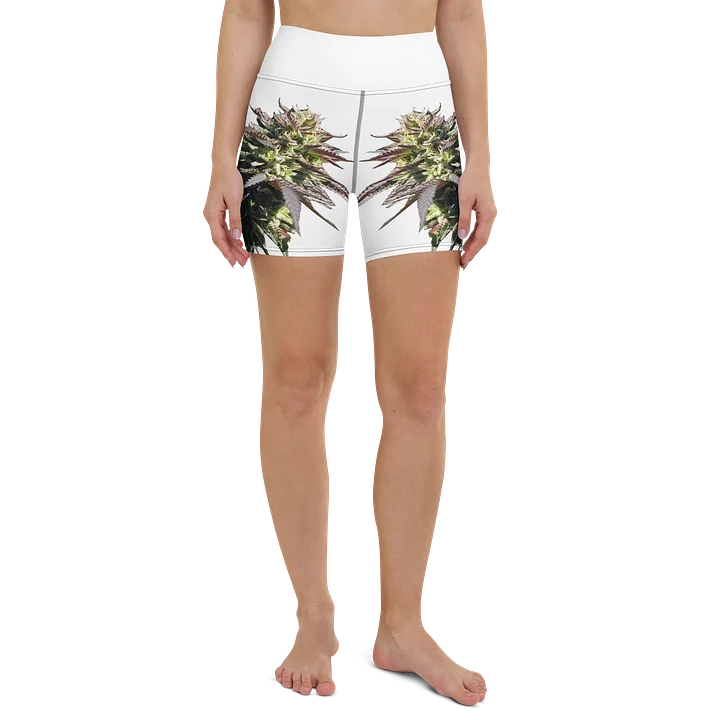 Herbaceus Sacer product image (2)