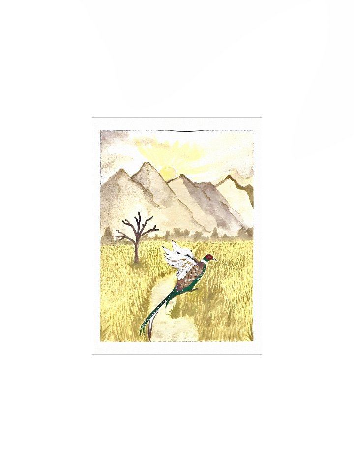 #6 Pheasant in the plains - The Wildwood Wash product image (3)