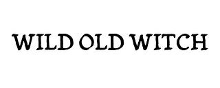 Wild Old Witch