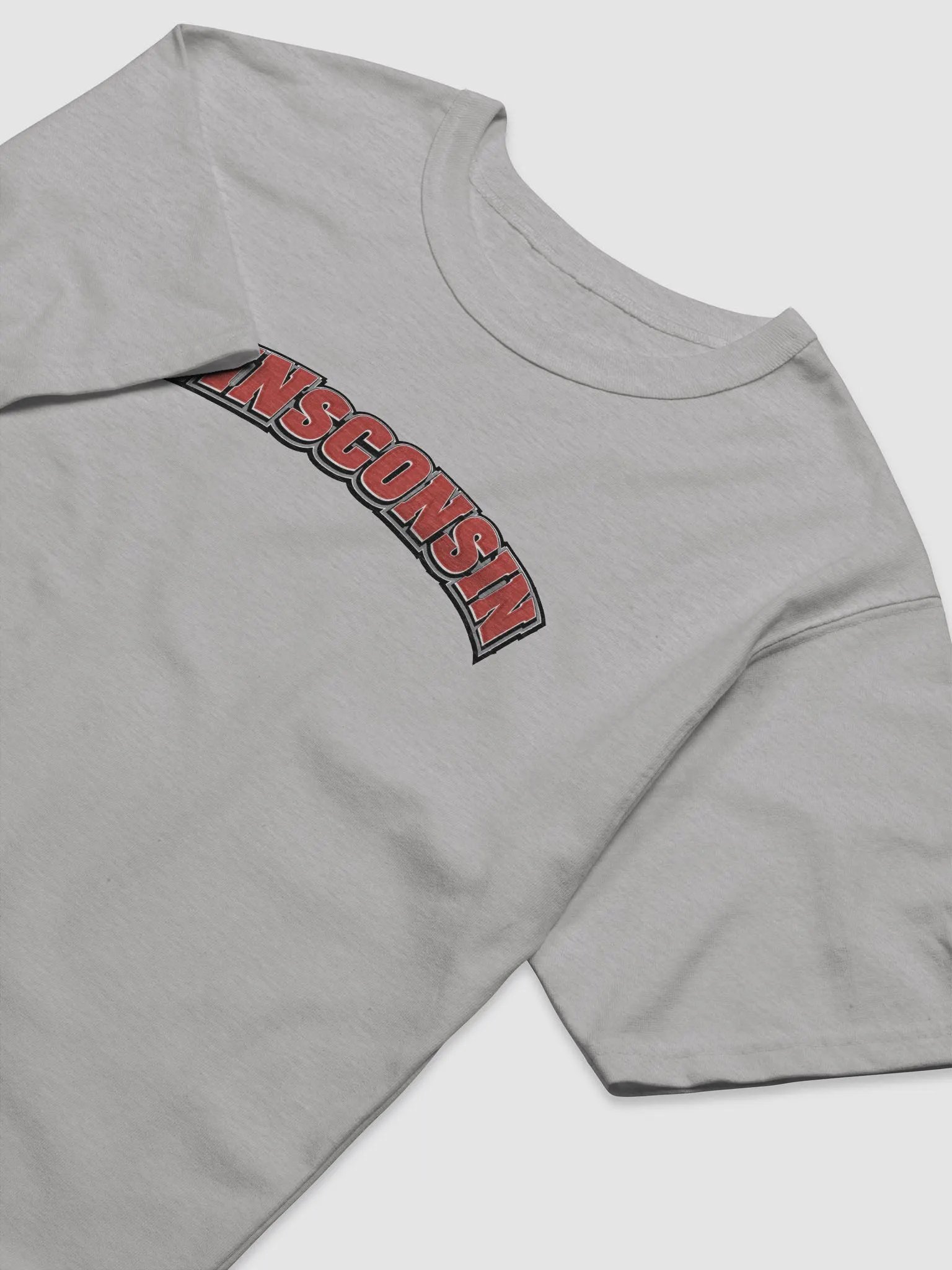 WINsconsin Champion Relaxed-Fit T-Shirt by Champion product image (10)