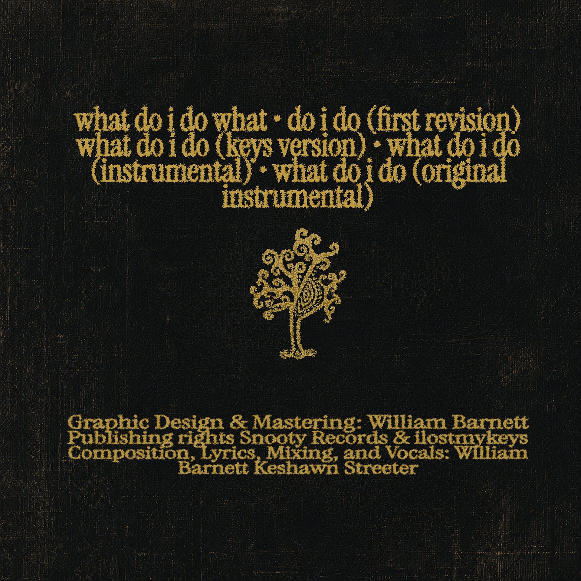 Signed LIMITED EDITION what do i do CD product image (3)