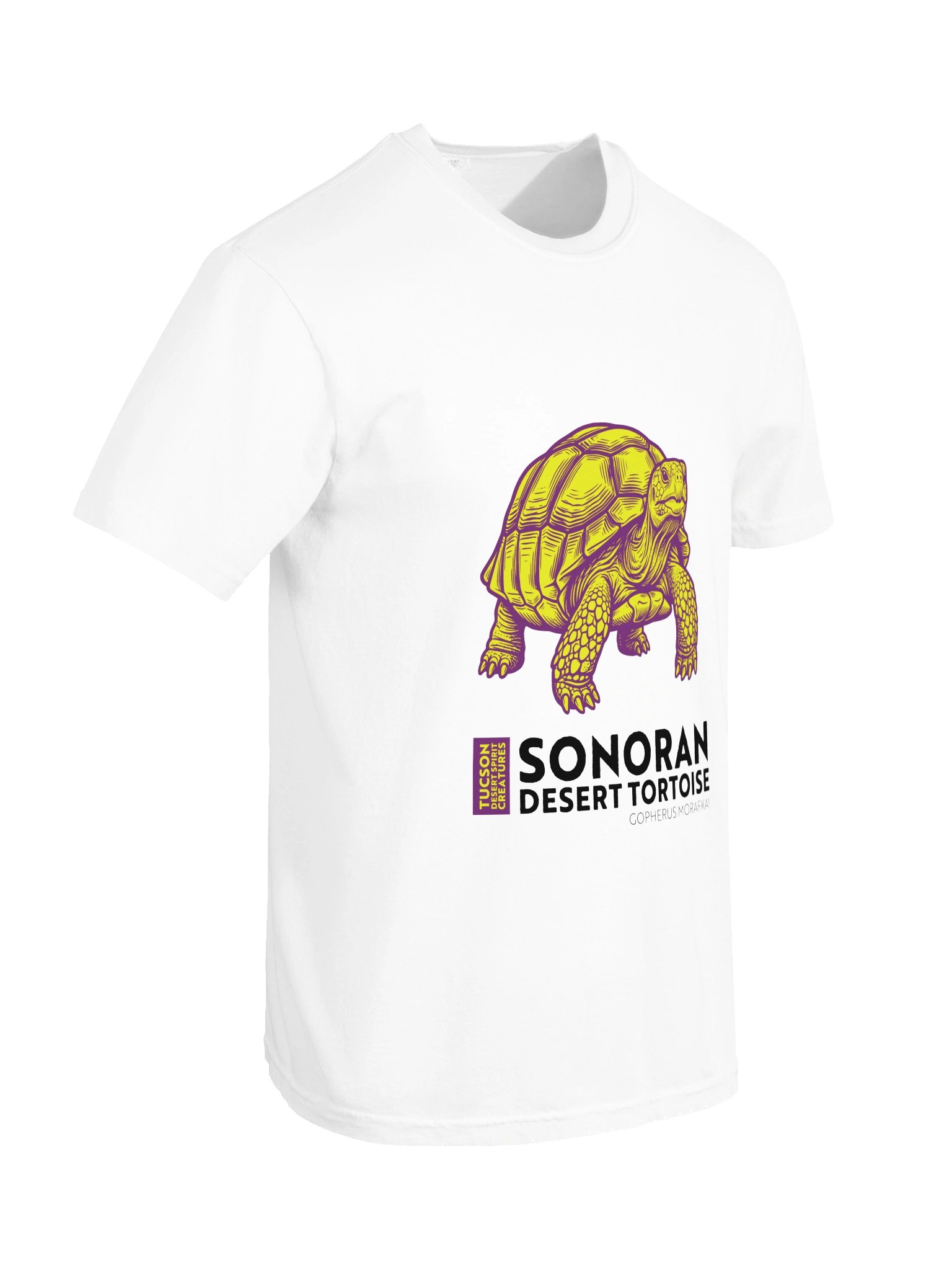 SONORAN DESERT TORTOISE product image (97)