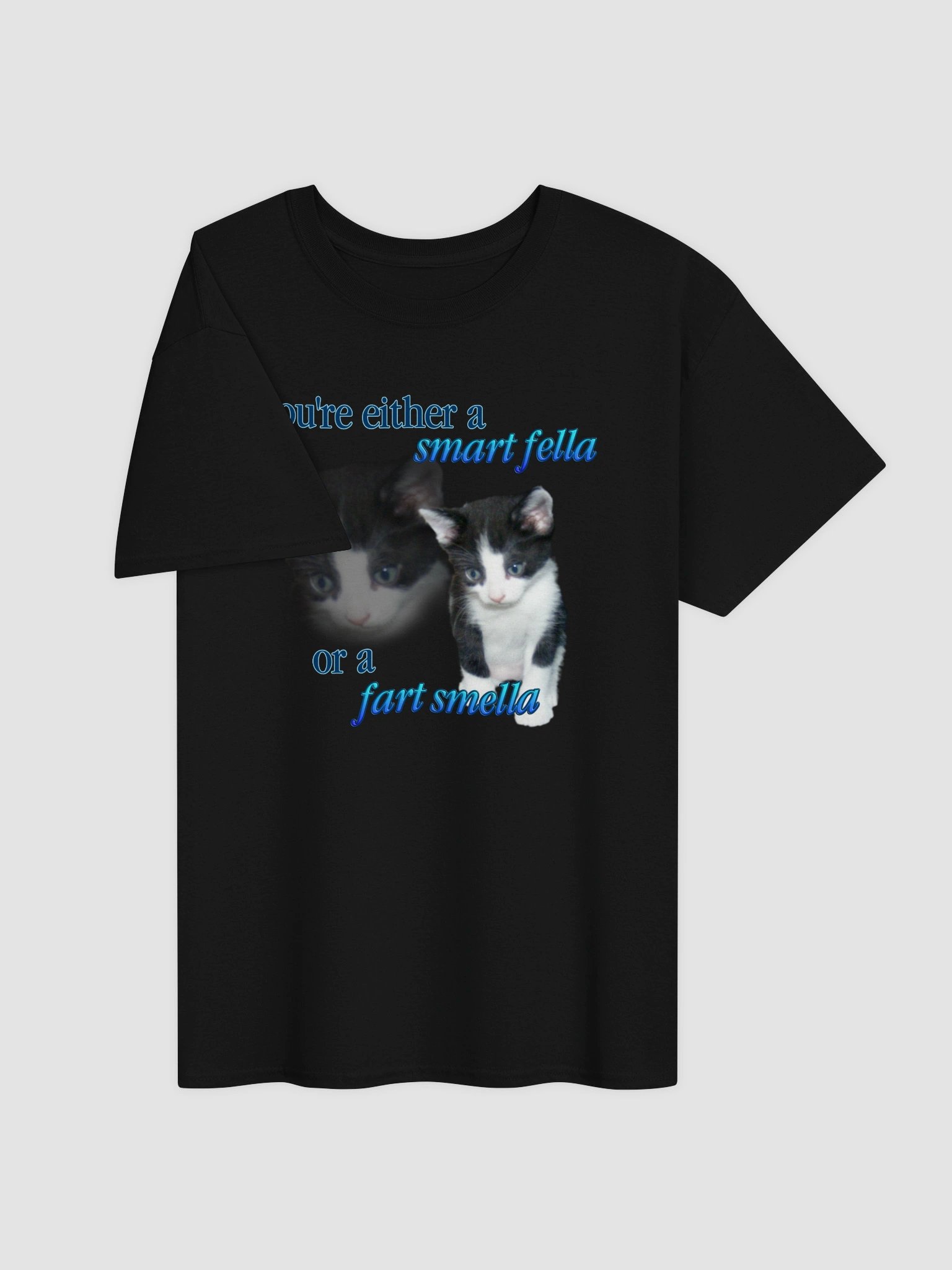 Smart Fella or a Fart Smella - Cat T-shirt product image (35)