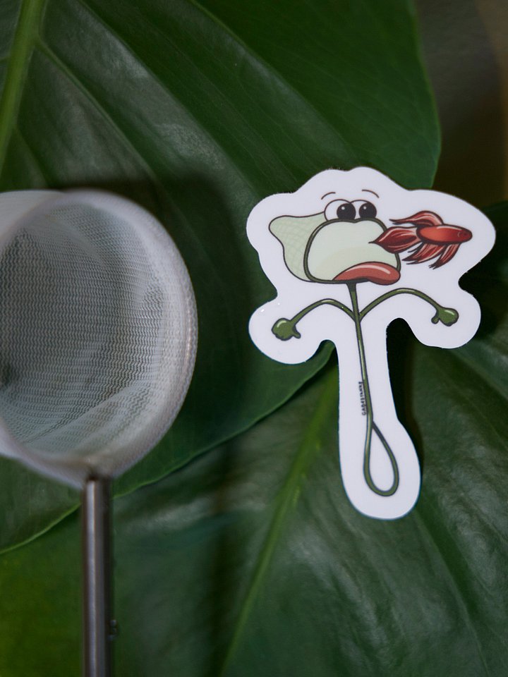 Hungry Net product image (2)