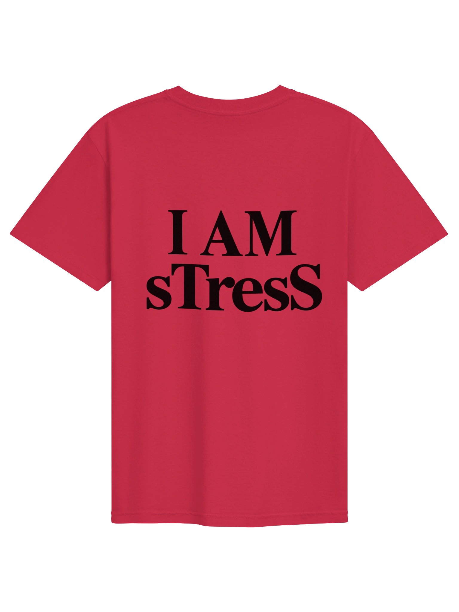 I AM sTresS Heavyweight Tee product image (10)