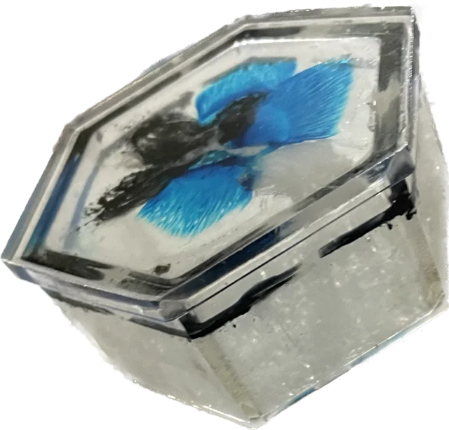 Mini Jewelry Box product image (3)