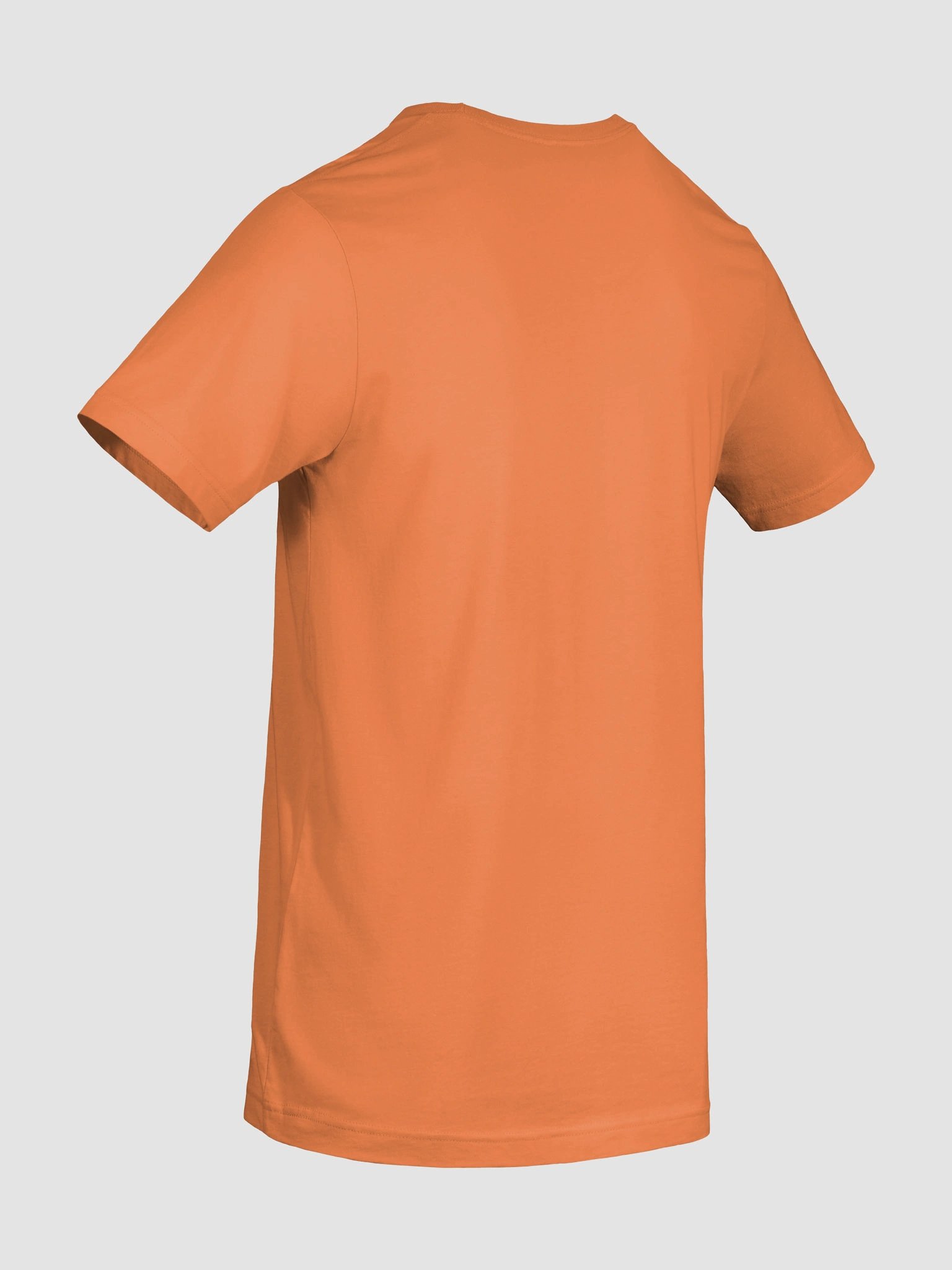 The Lord Fights for You (David) T-Shirt product image (9)