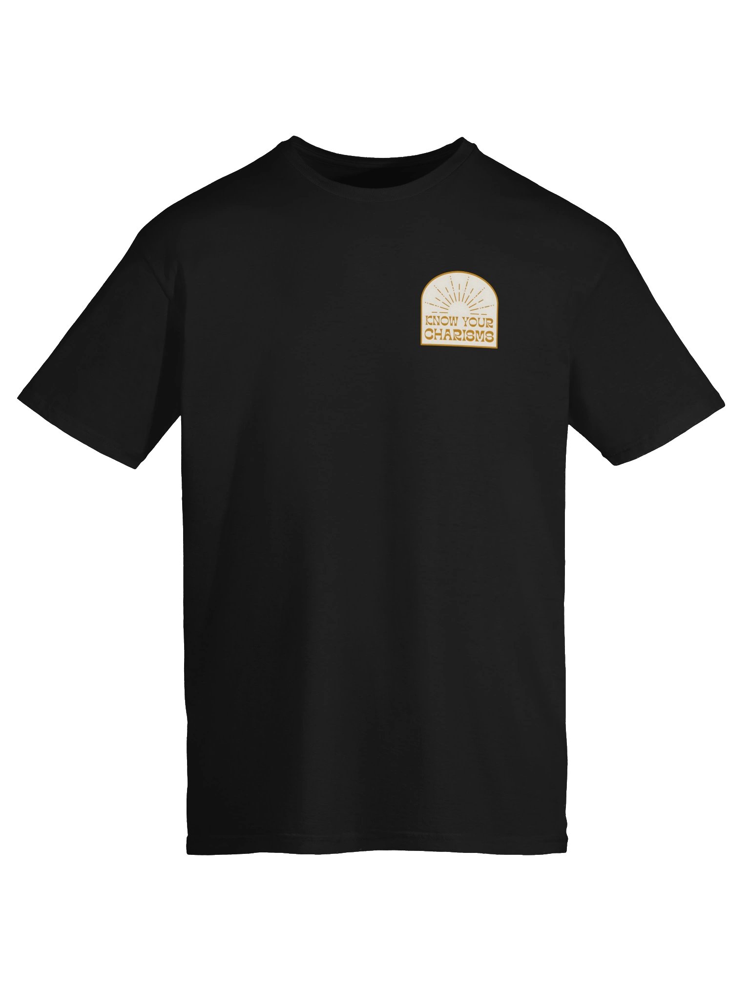 Know Your Charisms Print Back Tee product image (51)