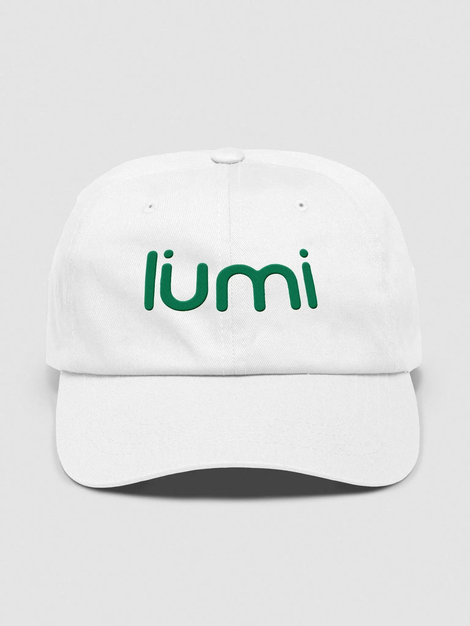 Lumi Dad Hat product image (10)
