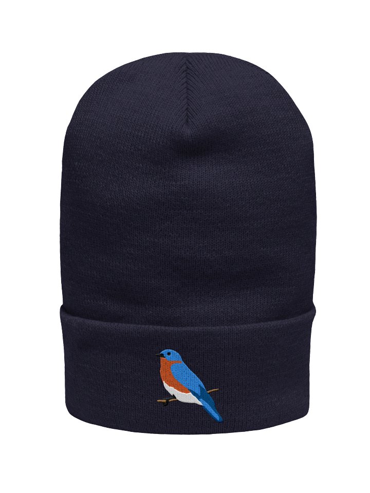 Eastern Bluebird Embroidered Beanie | Winter Bird Hat | Bird Lover Gift product image (11)