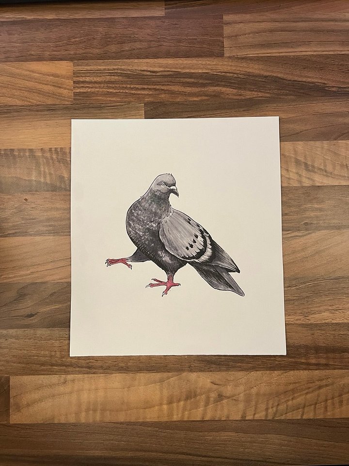 Pigeon Original Artwork product image (1)