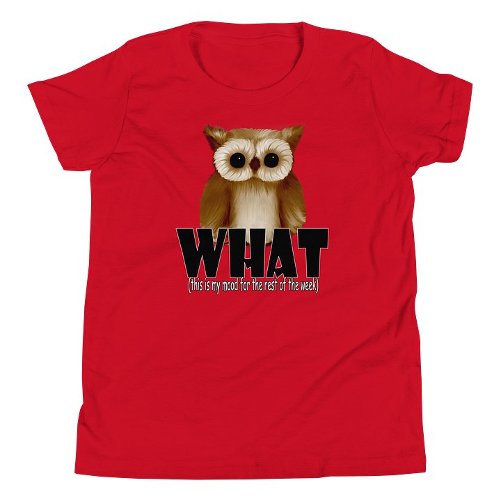 Youth Short Sleeve T-Shirt - Bella+Canvas product image (1)