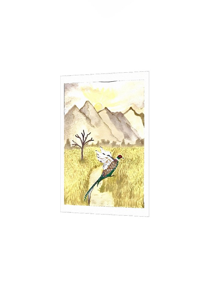 #6 Pheasant in the plains - The Wildwood Wash product image (14)