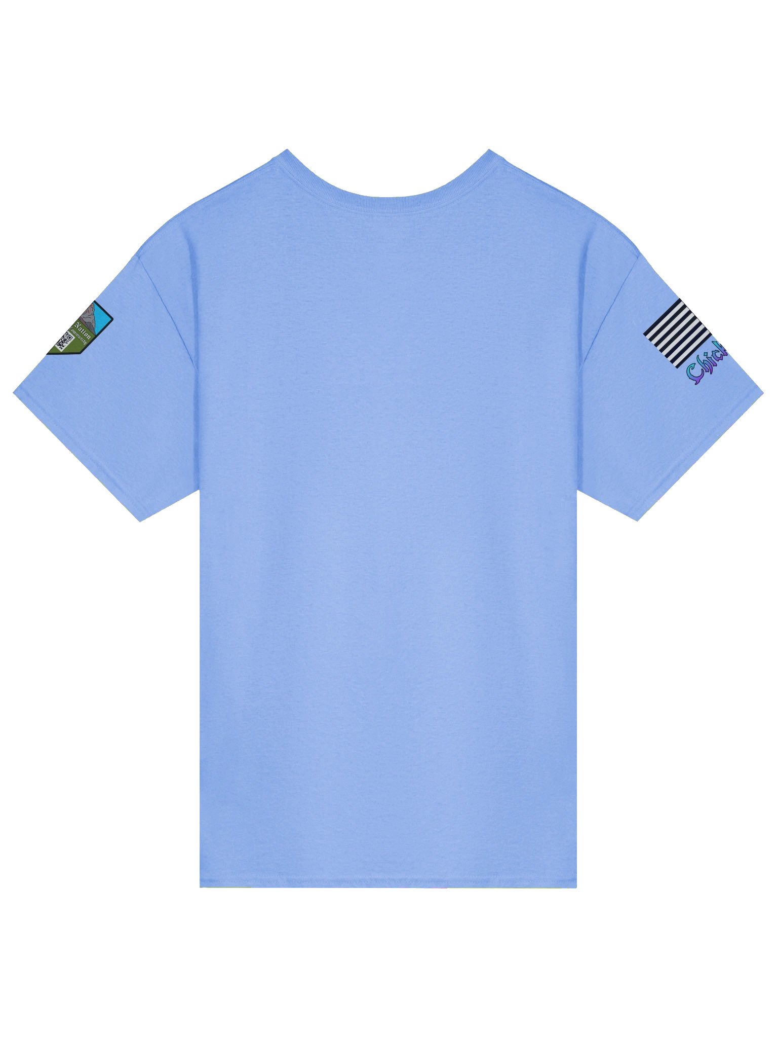 Chick Vet I'm the Veteran Shirt product image (11)