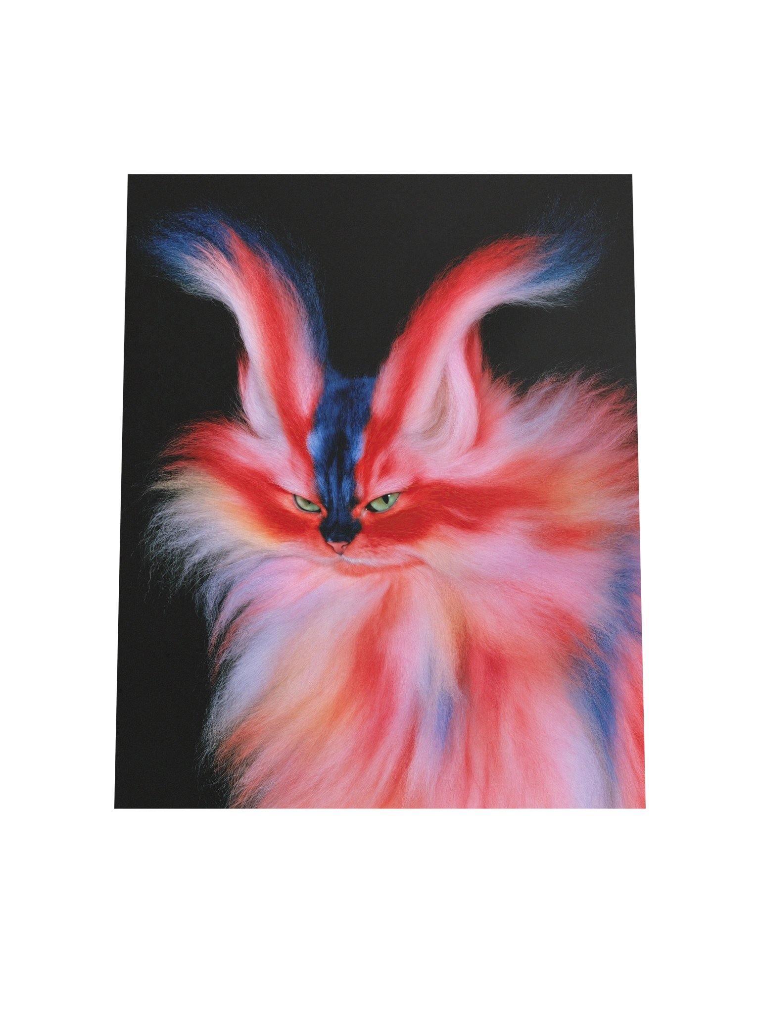 Aura Cat 002 Matte Paper Poster product image (4)