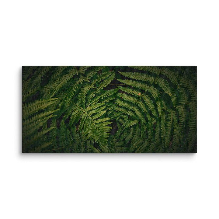 NORTHERN ILLUSIONS - Verdant Silence Canvas Print product image (2)