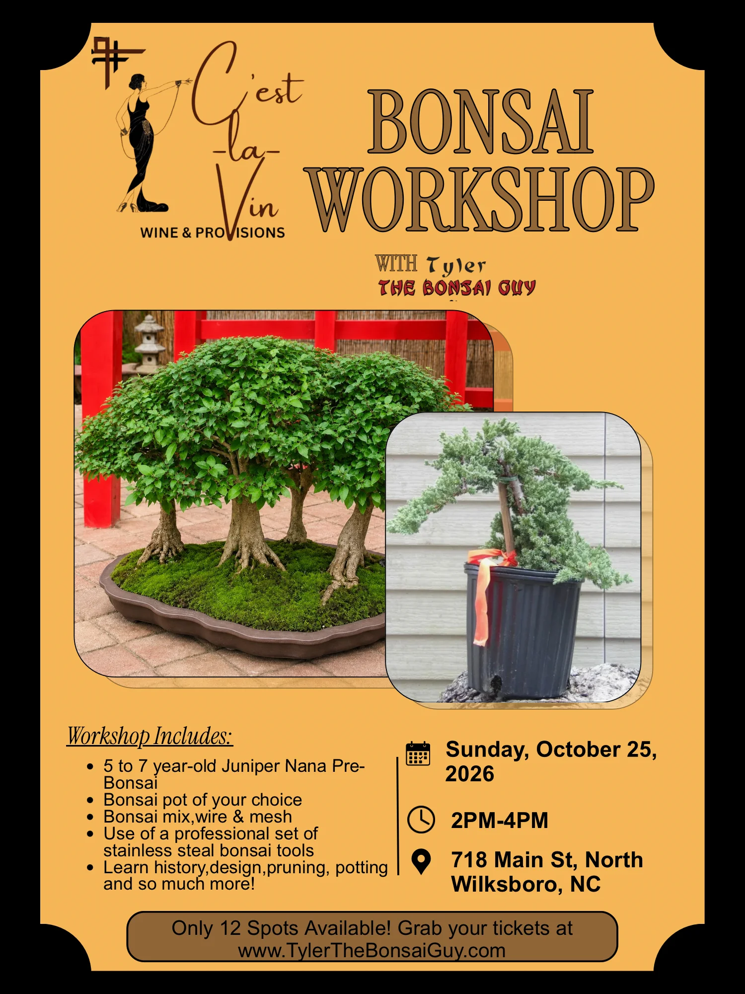 Bonsai Workshop at C'est La Vin product image (1)