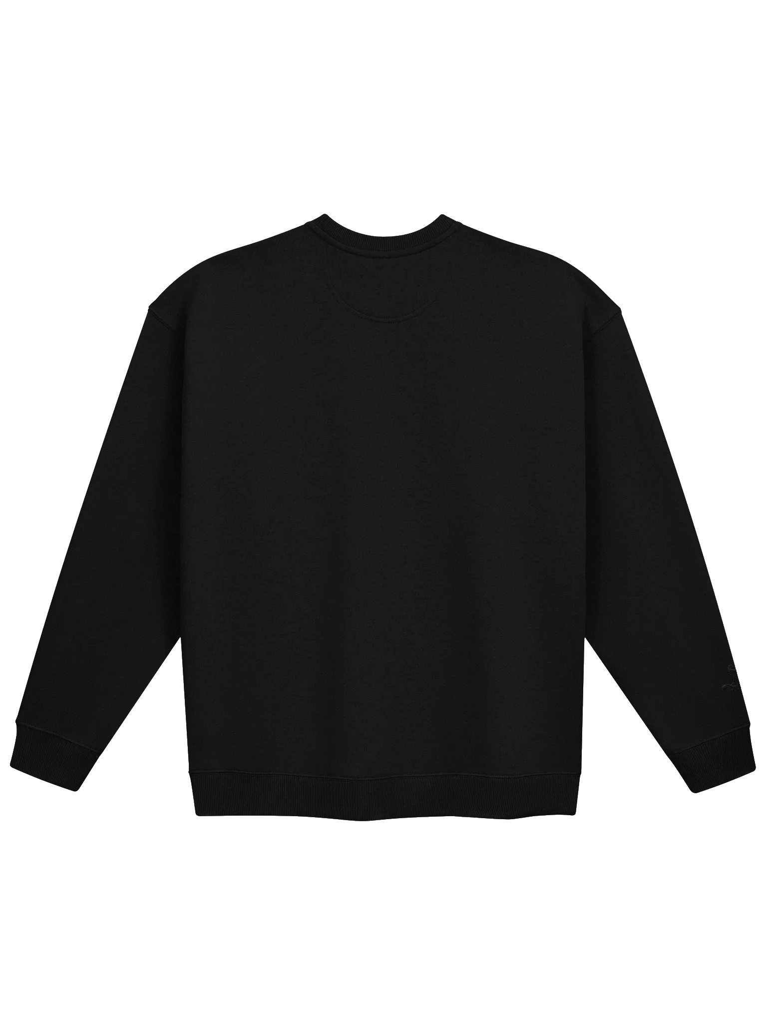 FOMOgator Gym Sweatshirt - Oversized product image (2)