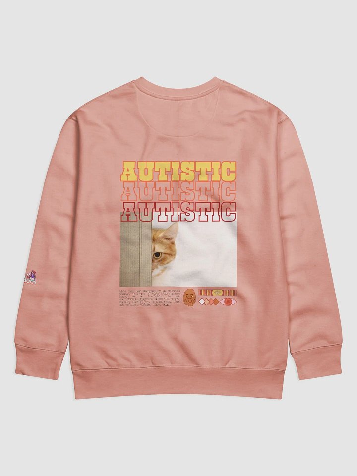 AUTISTIC CAT sweatshirt product image (18)