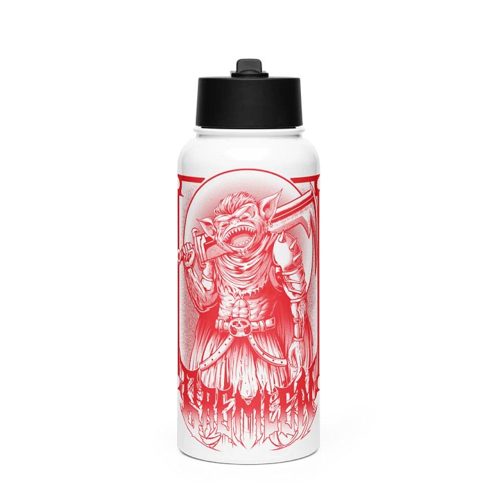 Stainless Steel Water Bottle with a Straw Lid product image (1)