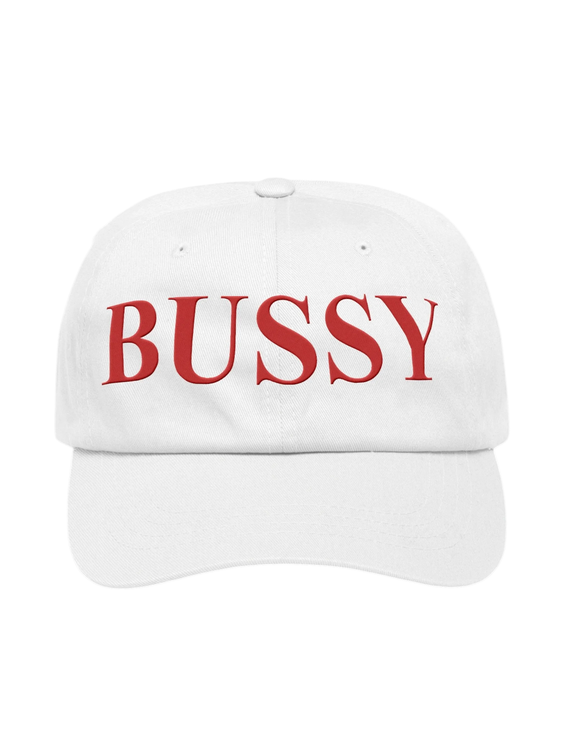 BUSSY Hat product image (1)