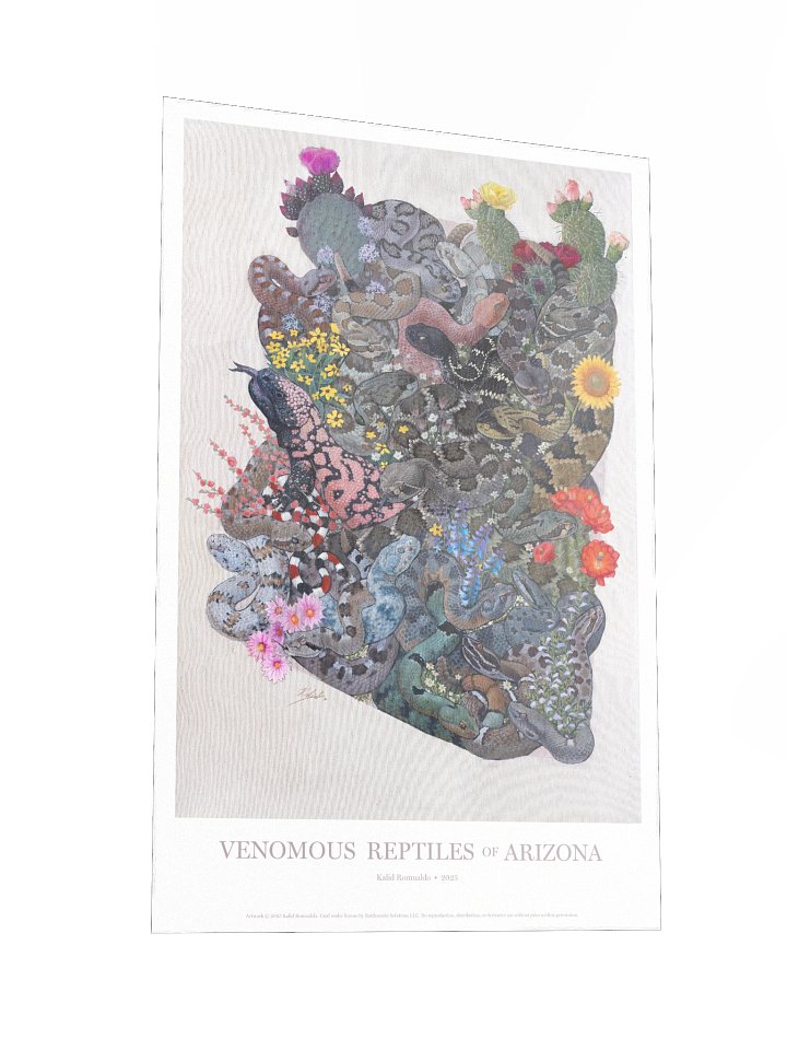 Print – Venomous Reptiles of Arizona product image (2)