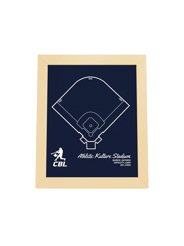 Barrie Ballpark Print product image (25)