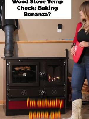 Oven temp check on the Magnum ($3,330.00)! Left side at 310, right at 267. Time to open up those dampers and get this heat up! #OvenTips #Cooking #Baking #DIY #HomeHacks