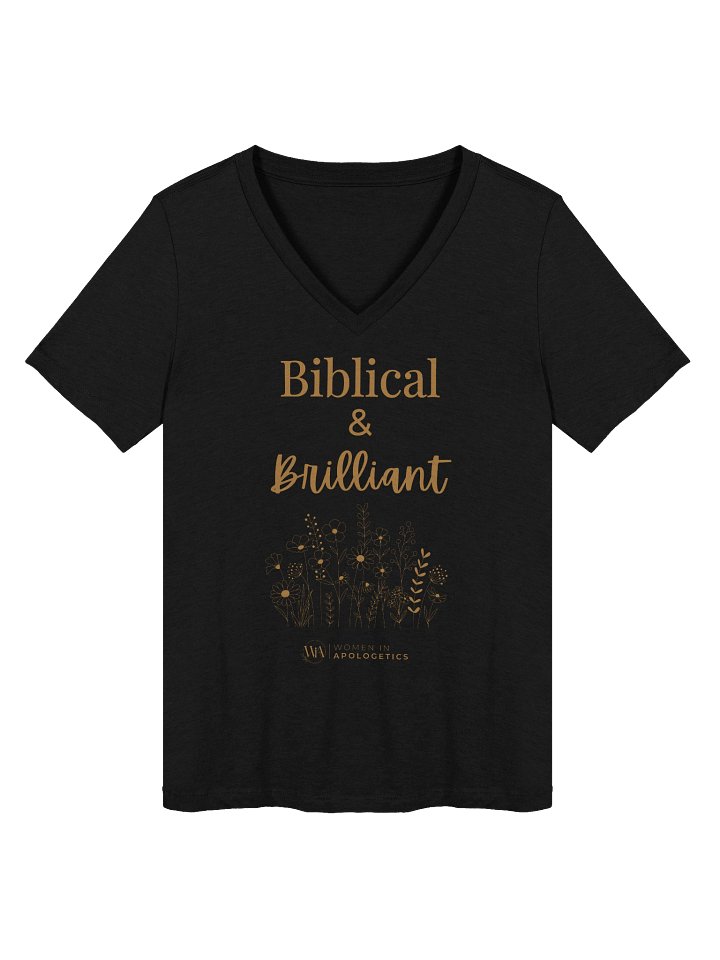 Biblical & Brilliant Relaxed V-Neck product image (2)