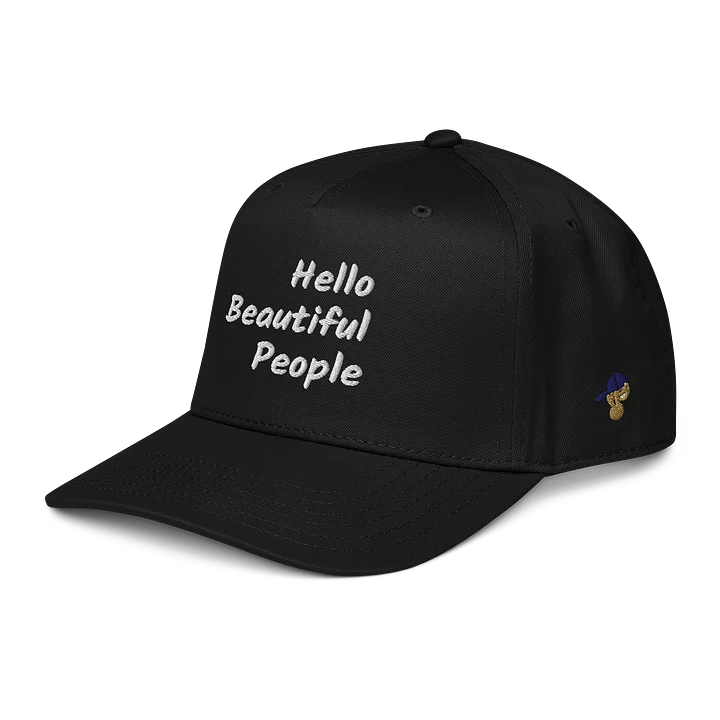 Beautiful People Hat product image (2)