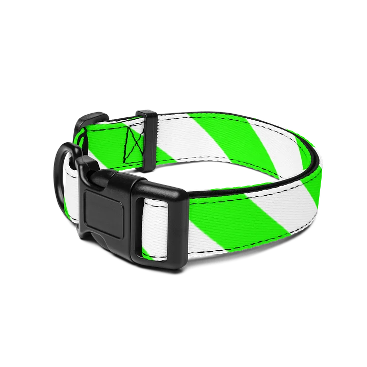 Caution Collar: Safety/First Aid product image (2)
