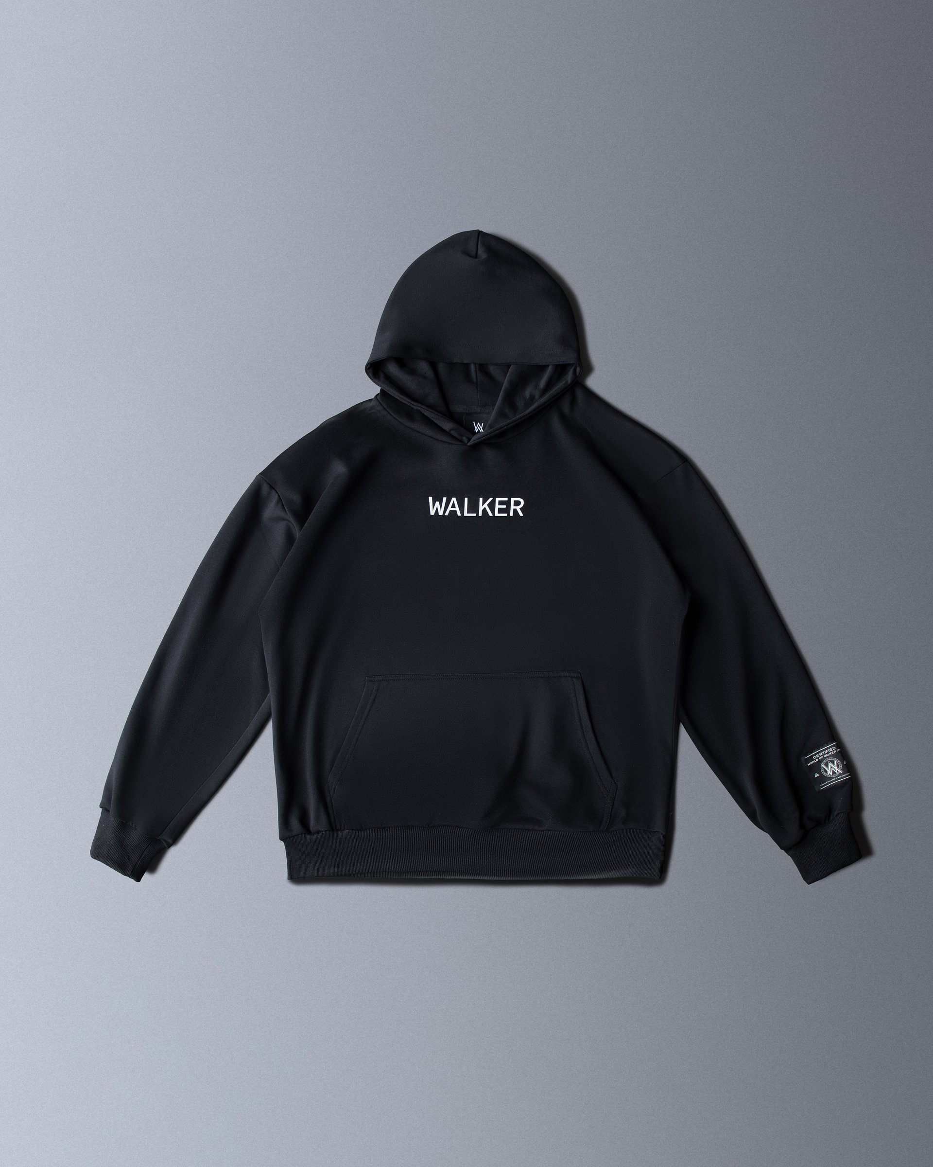 Core Logo Hoodie Vol.2 product image (1)
