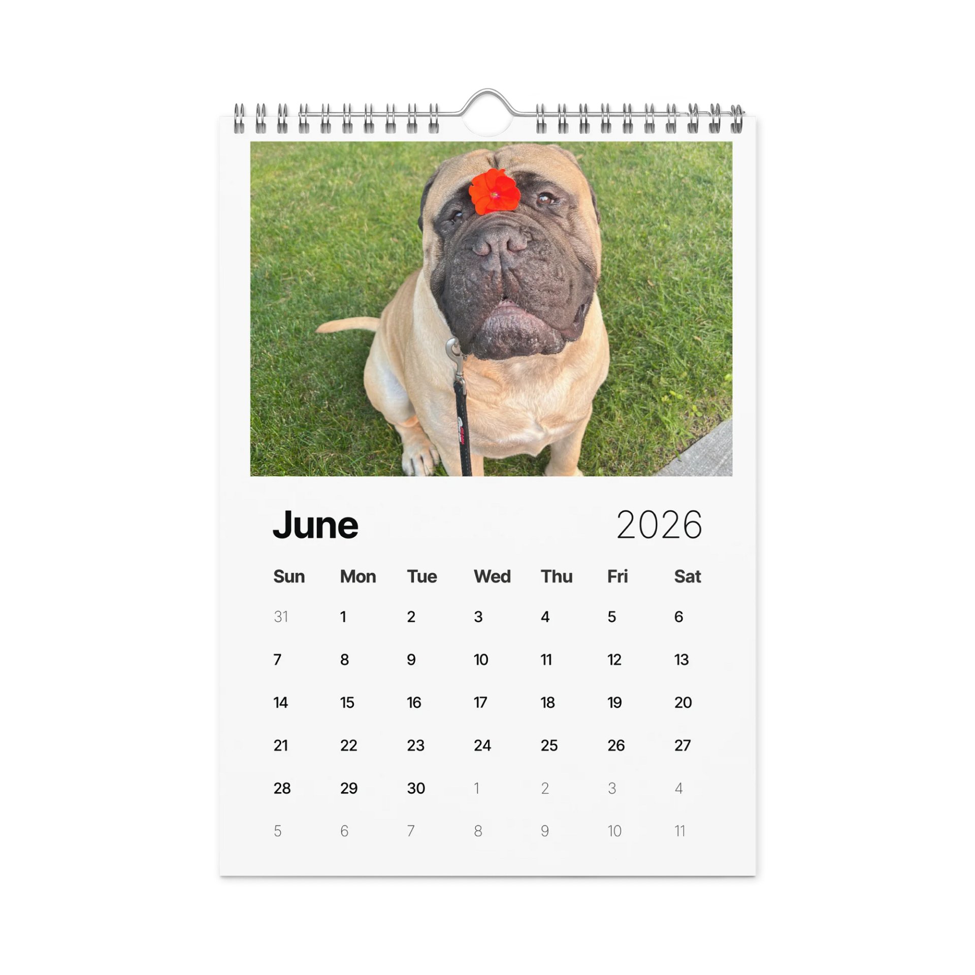 2026 Meech Calendar product image (4)