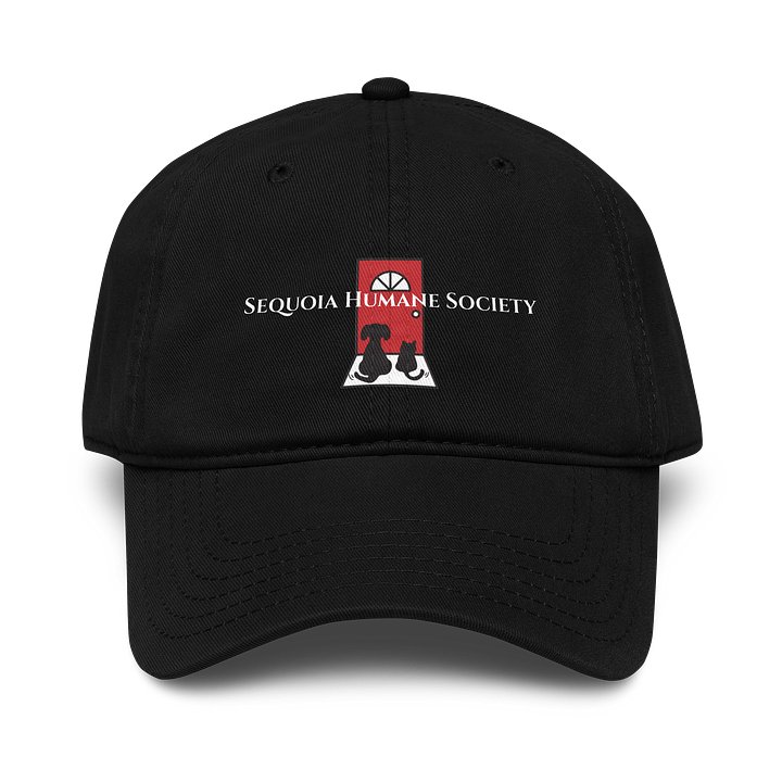 Black Baseball Cap product image (1)