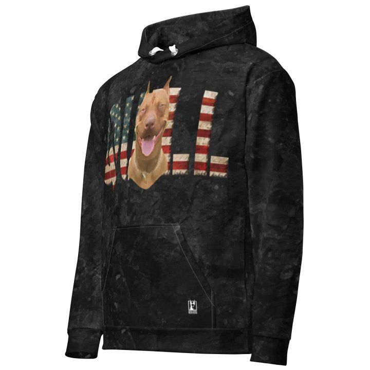 Quill Hoodie product image (2)