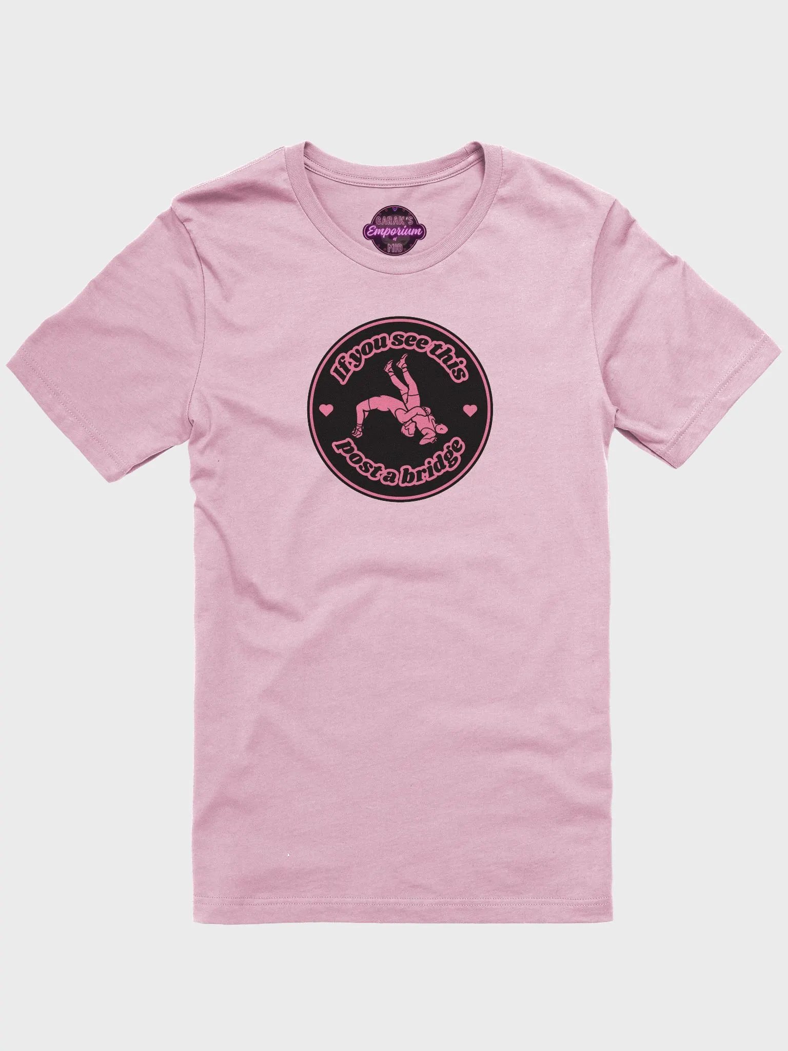 Post a Bridge Soft T-shirt product image (101)