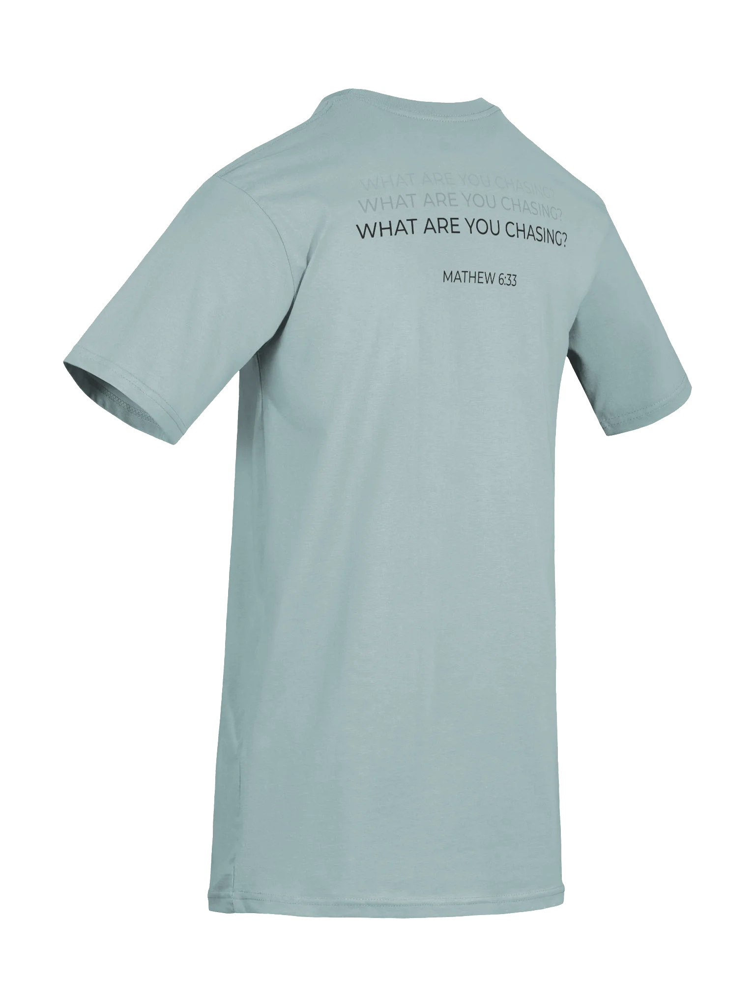 Men's What Are You Chasing? Heavyweight Statement Tee product image (10)