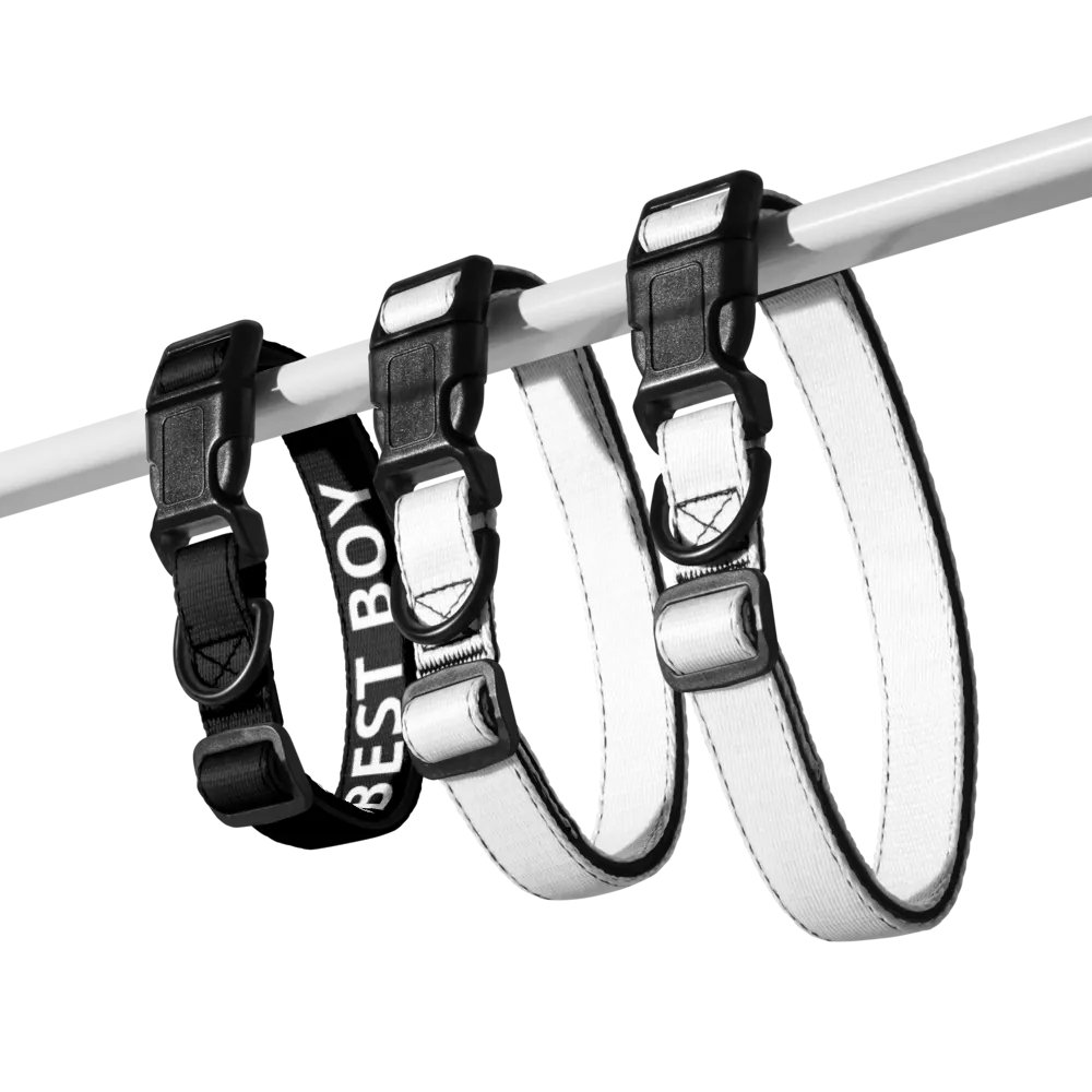 Xena's Best Boy Collar product image (7)