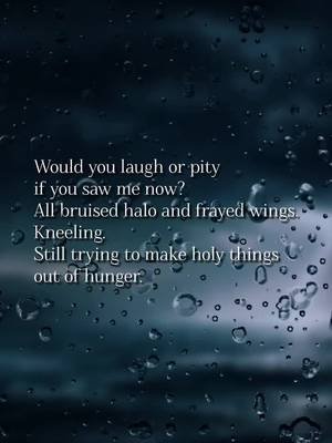 excerpt from the poem Velvet Bones.  #sofiayorke #poet #writer 