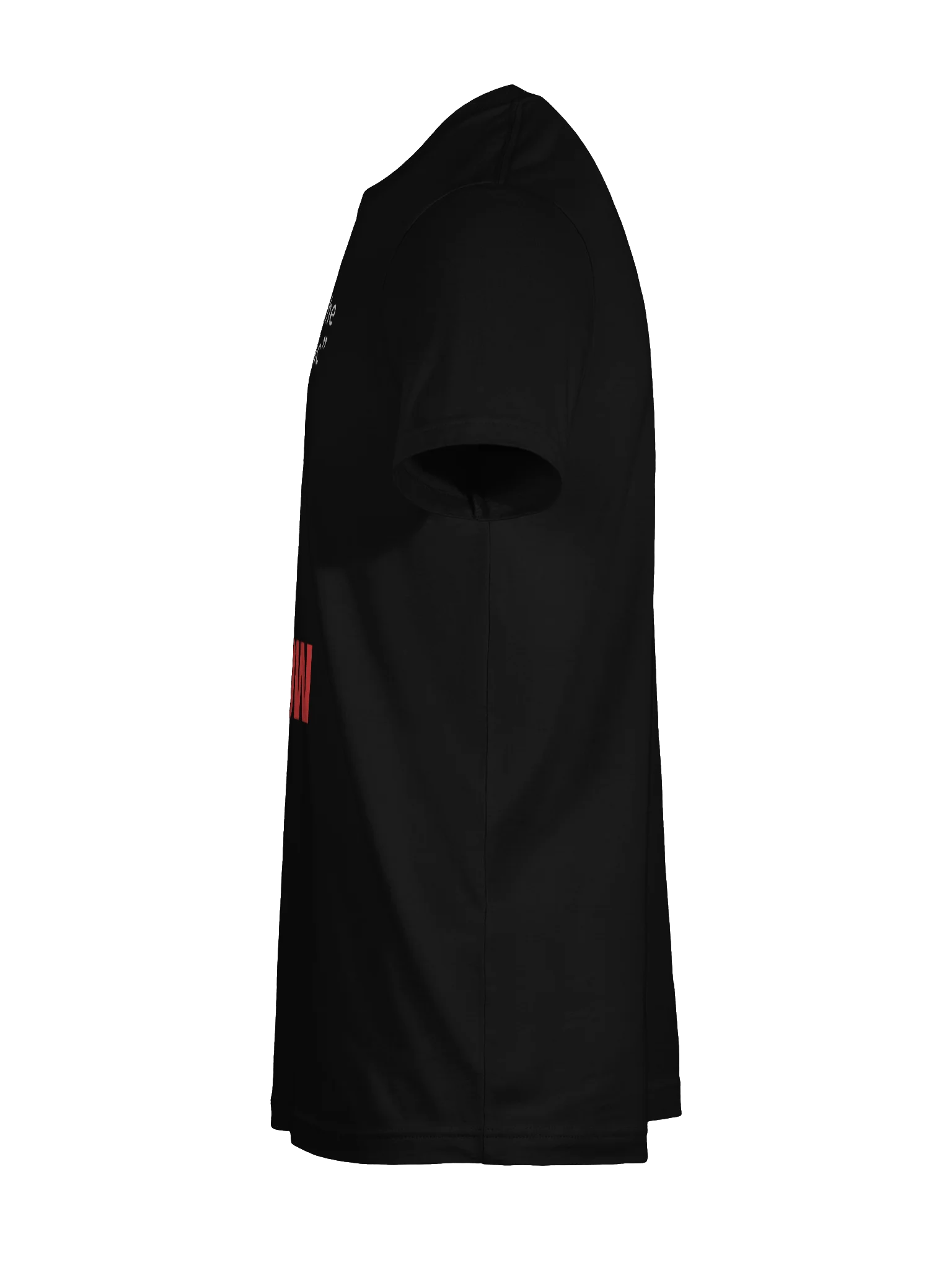 During The Pandemic Is Now tee product image (12)