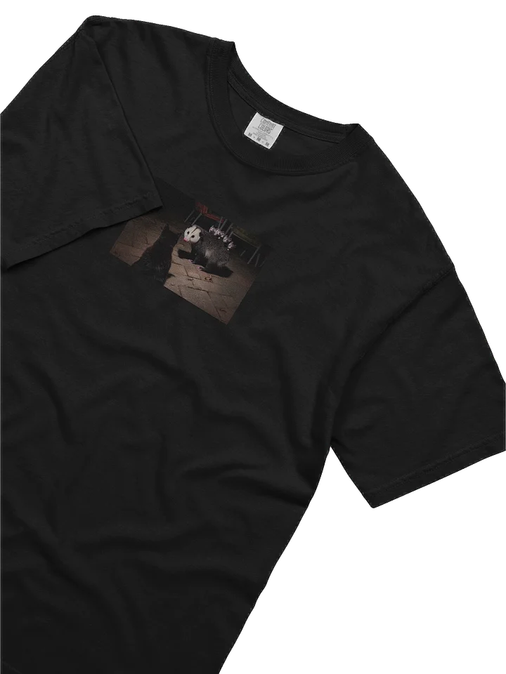 Cat meets opossum family T-shirt product image (1)