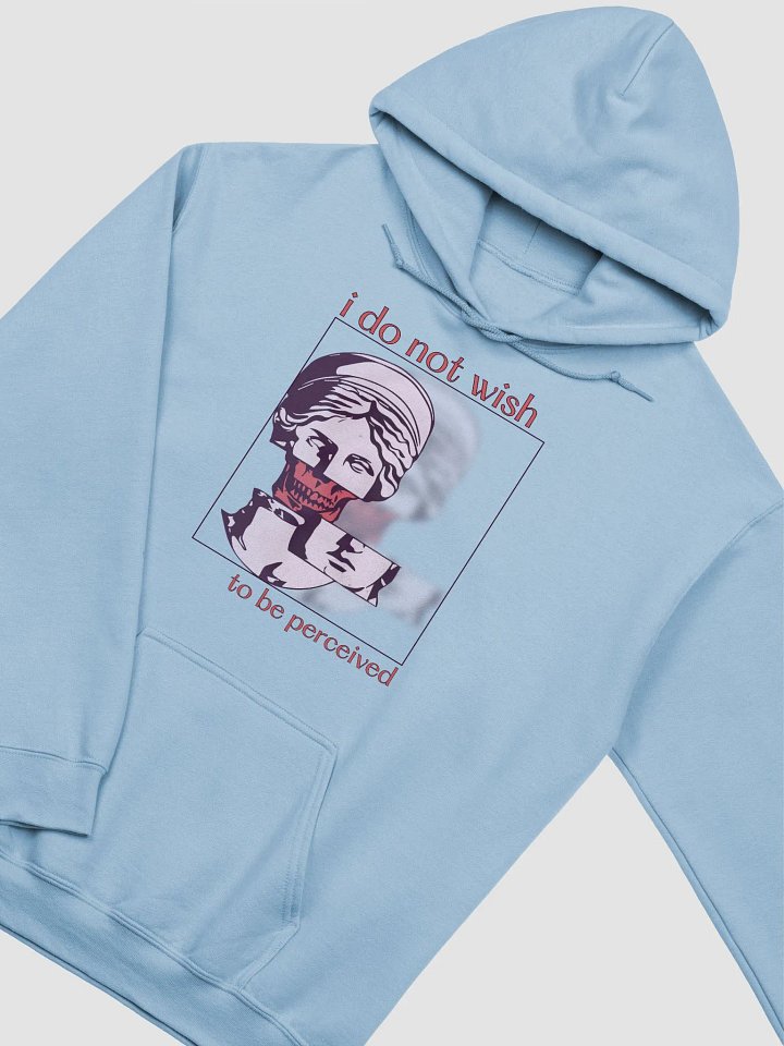 DON'T PERCEIVE ME premium hoodie product image (32)