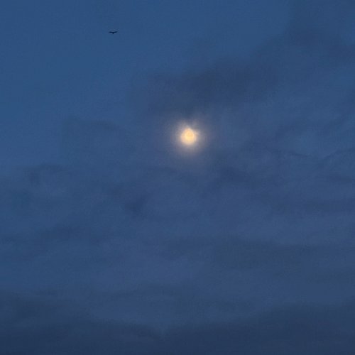 Last week’s full moon gave me so many happy feels.