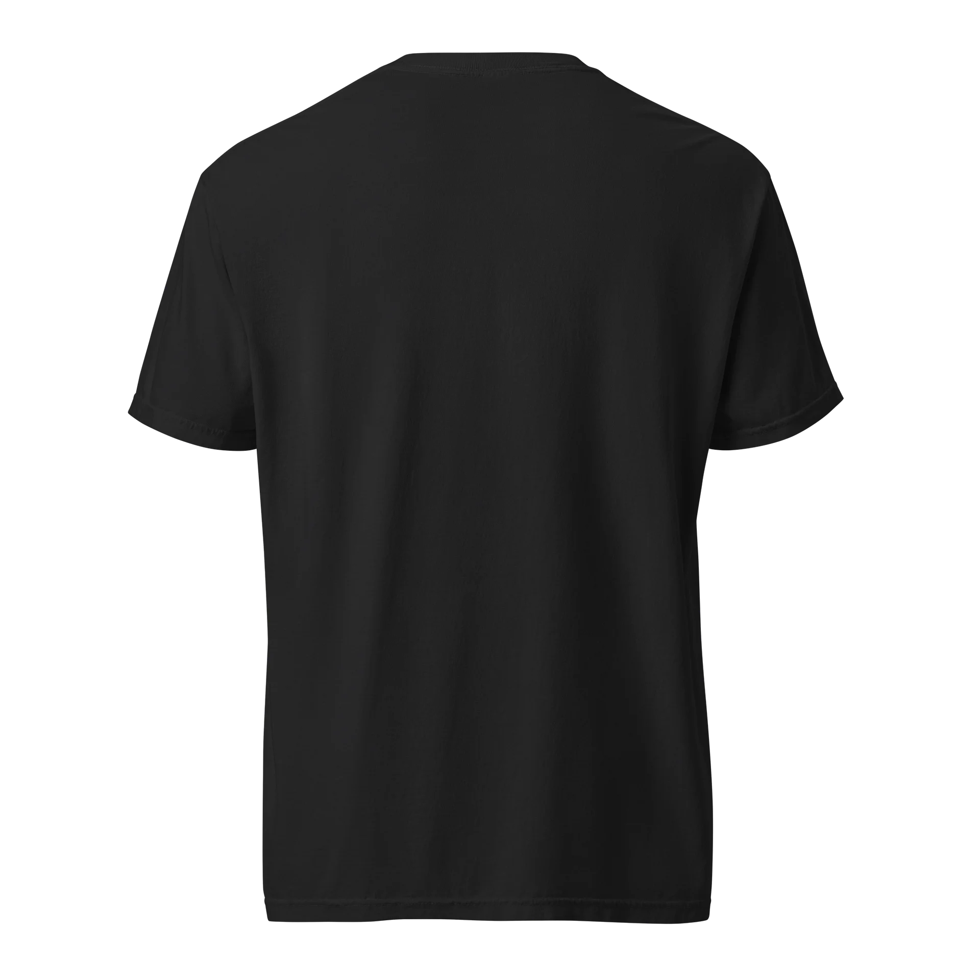 Explaining Why I'm Right Tshirt product image (4)