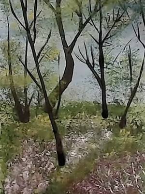 Field with flowers and trees 1#sasssssycat #sasssssycat2025 #trees #fypage #fyppppppppppppppppppppppp #fypppppppppppppp #fypppp #fyp #fyppp #paintings #paint #paintersoftiktok #paintingoftheday #paintingsofinstagram #paintingsoftiktok #fieldpainting #treepaintings #treepainting #art #canvaspainting #canvas #kofi #kofishop #kofishopowner