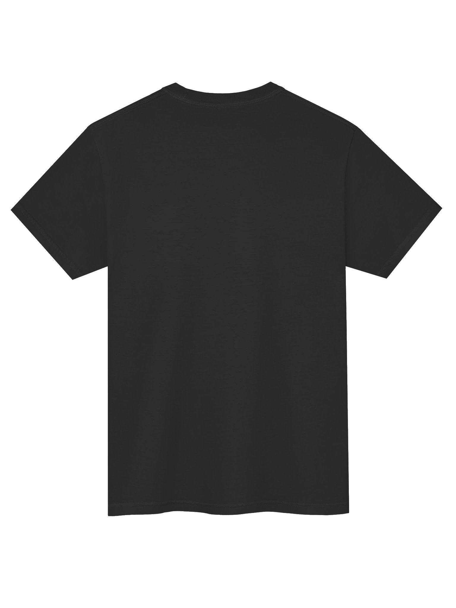 The Living Flow Apothecary Seal Tee product image (4)