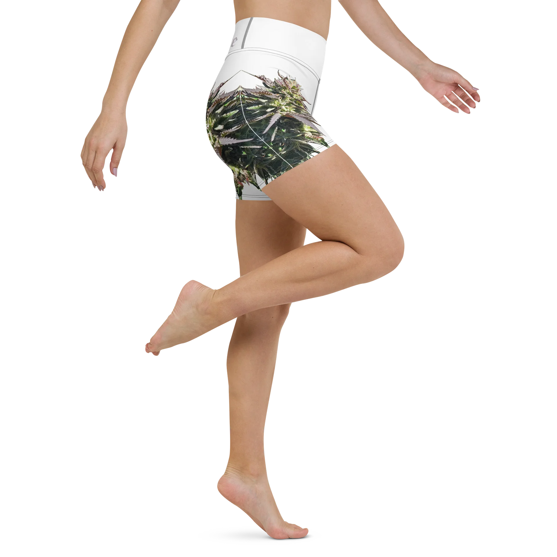 Herbaceus Sacer product image (6)